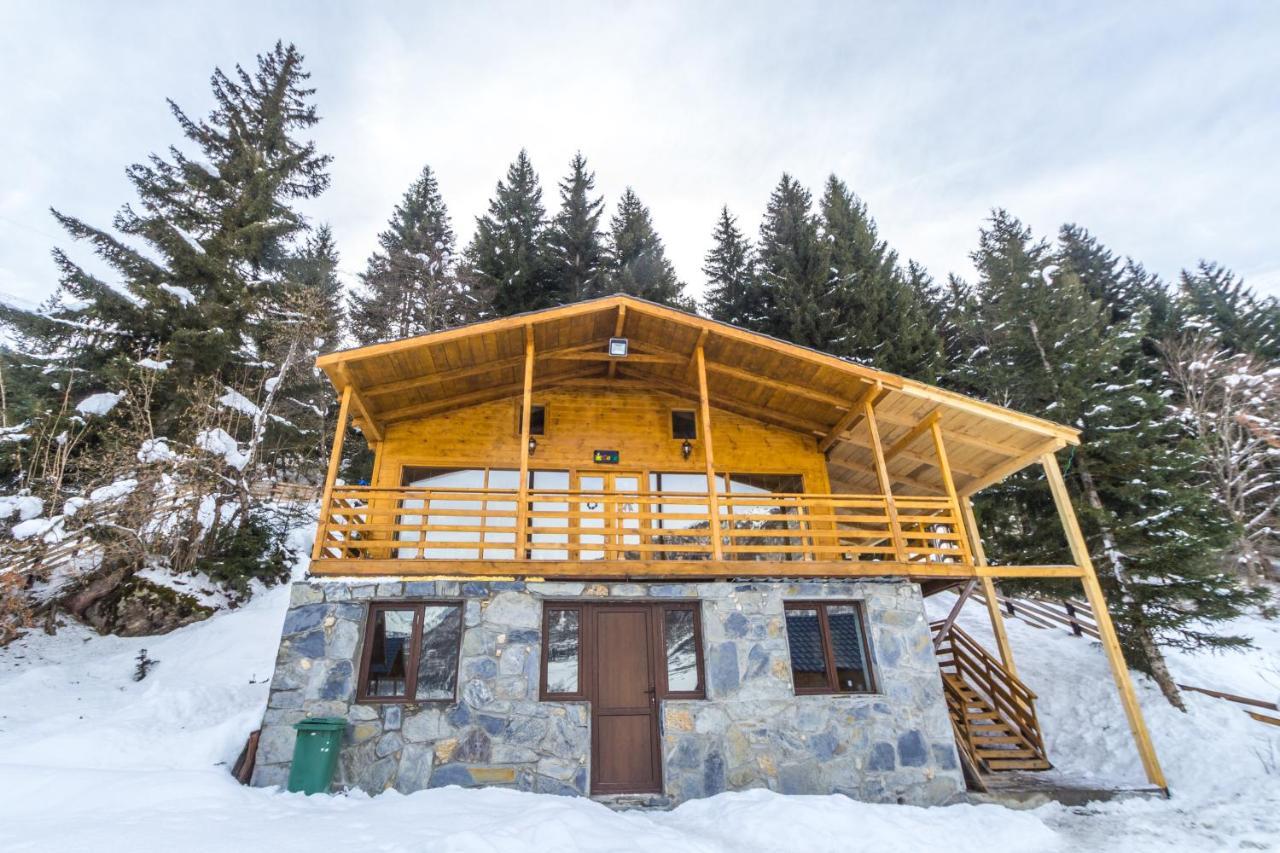 Mountain Cabins Mestia Kültér fotó